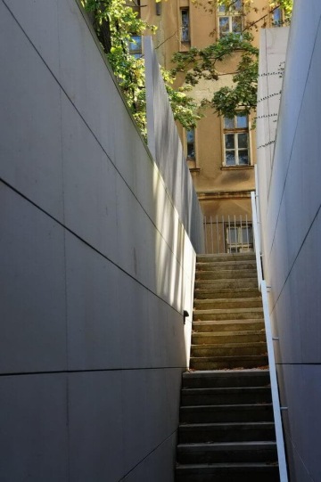 Schodiště vedoucí mezi šedými zdi směrem k budově, přes které prosvítají sluneční paprsky skrze větve stromů.