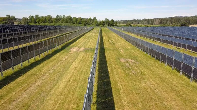 Stahlkonstruktion für Agrivoltaik